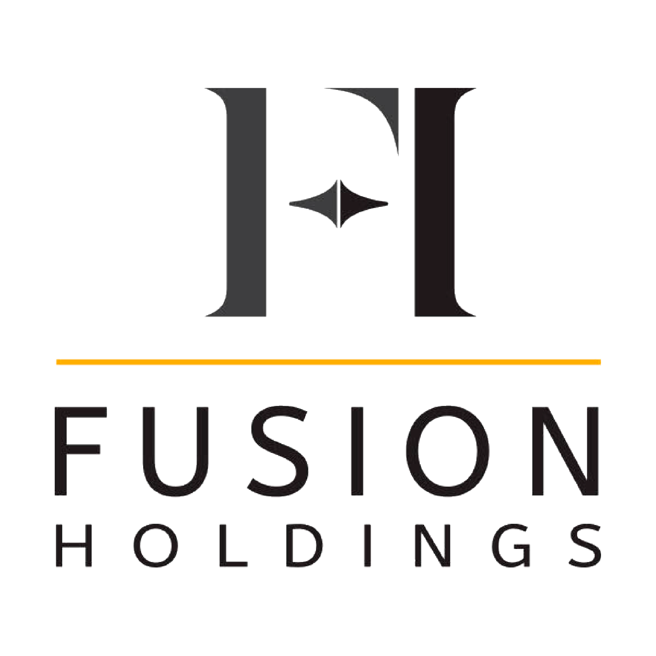 Fusion Holdings Llc